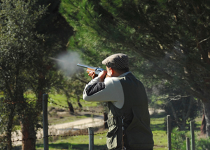 Man shooting in trees